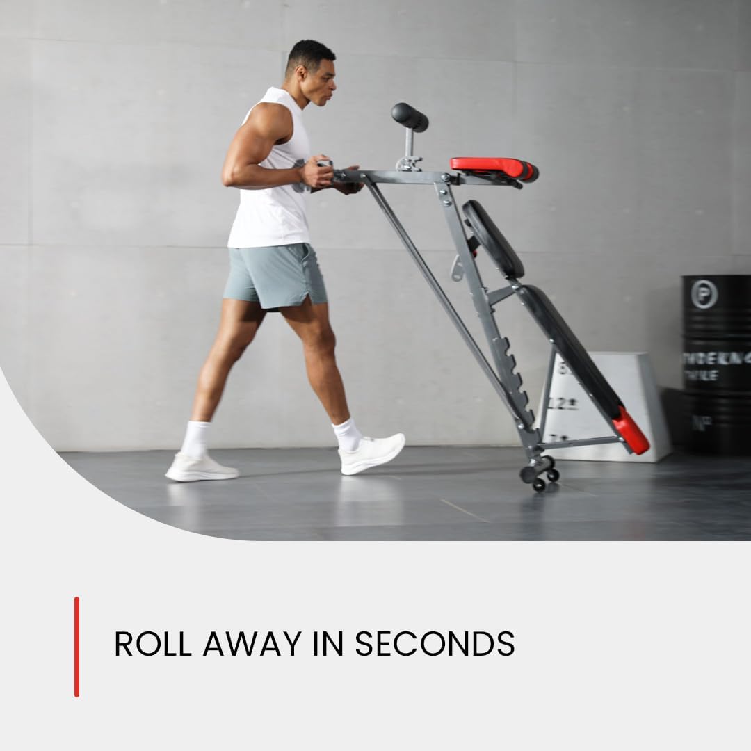 Weight Bench for Full All-In-One Body Workout 