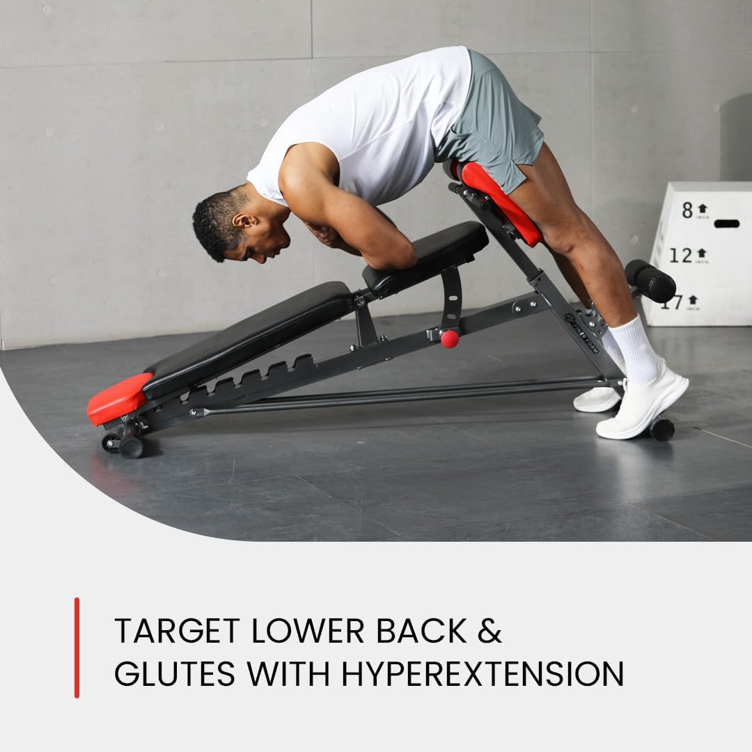 Weight Bench for Full All-In-One Body Workout 