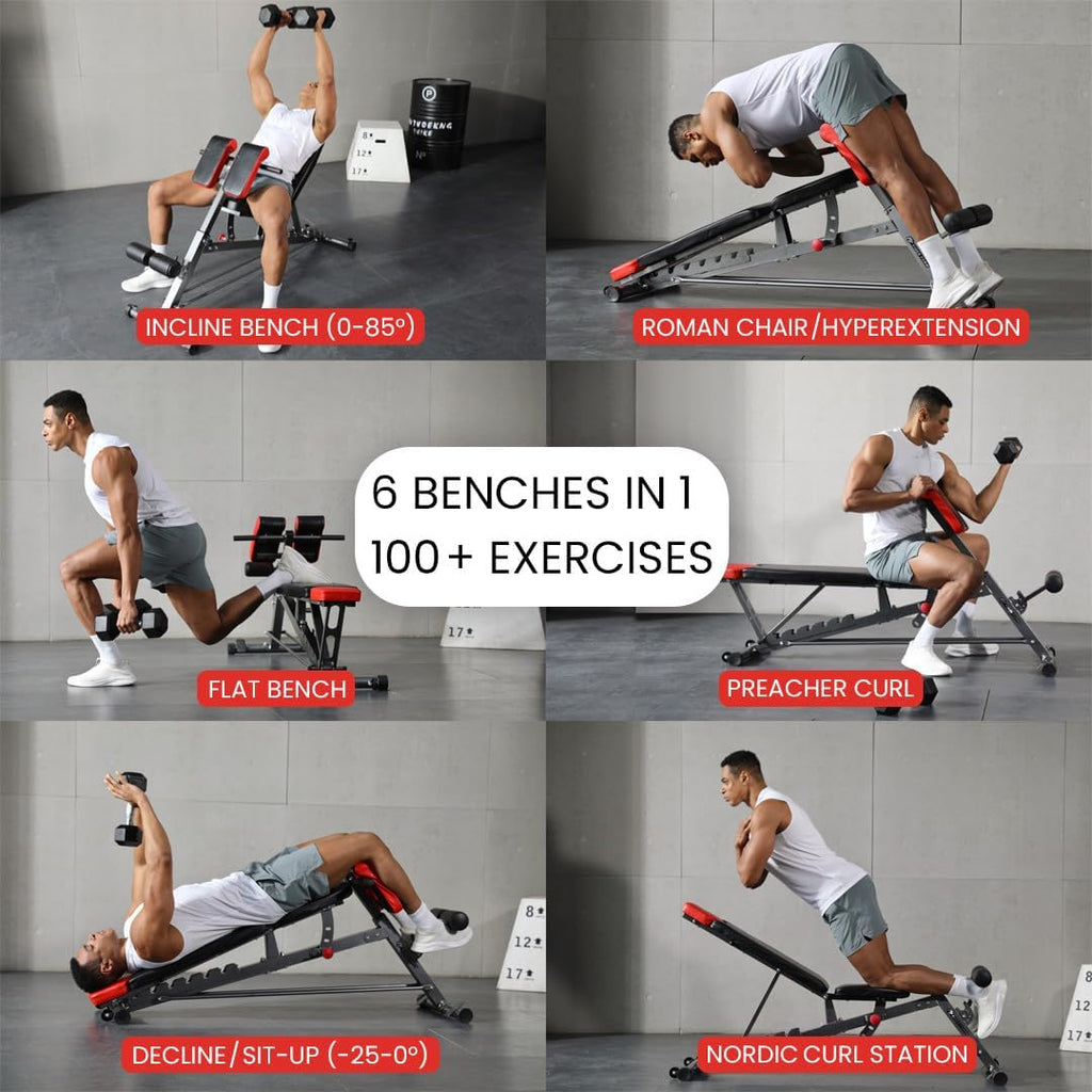 Weight Bench for Full All-In-One Body Workout 