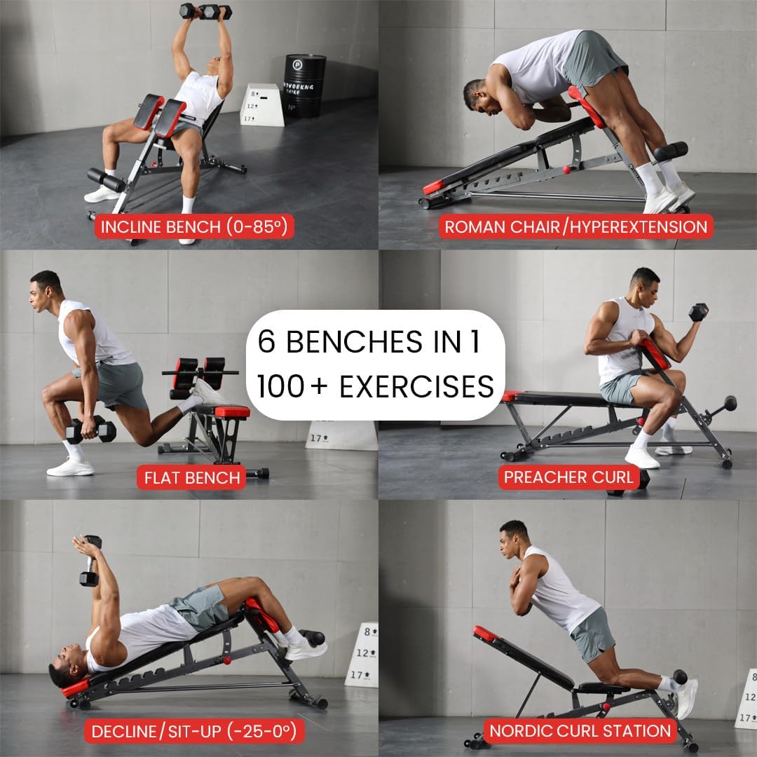 Weight Bench for Full All-In-One Body Workout 
